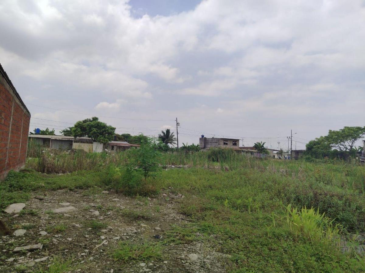 Terreno en Venta en Recreo, Norte de Durán Tato, Guayas — imagen 7