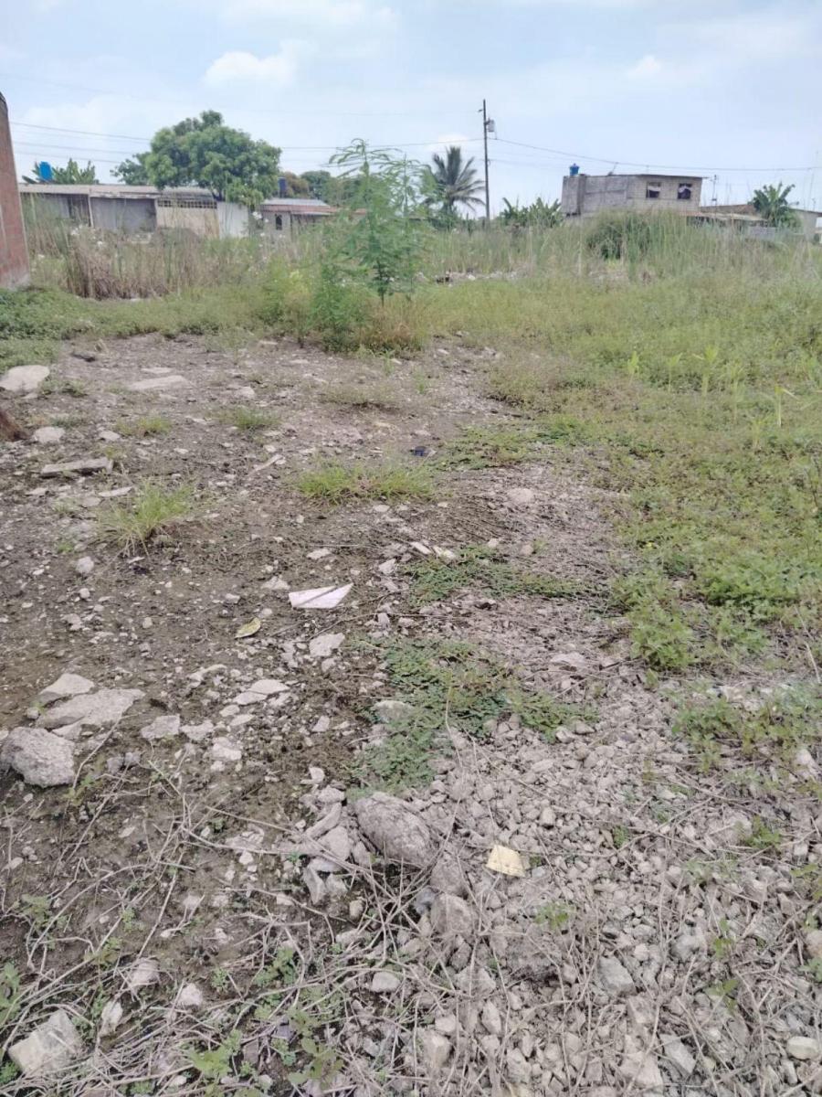 Terreno en Venta en Recreo, Norte de Durán Tato, Guayas — imagen 6