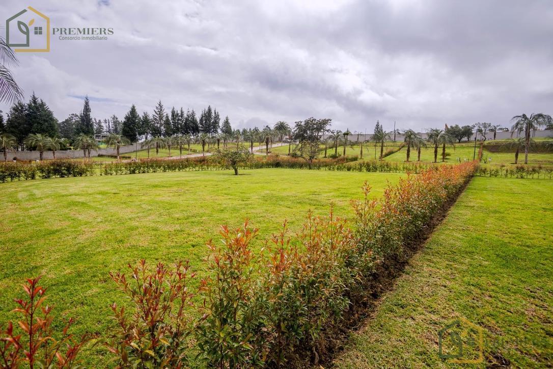 Terreno de Venta Alta Plusvalia — imagen 7