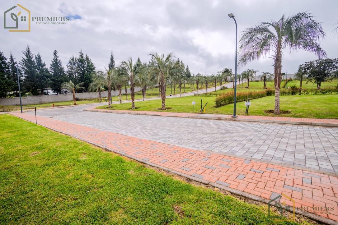 Terreno de Venta Alta Plusvalia — imagen 6
