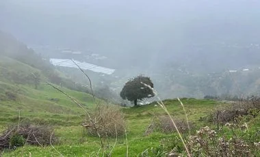 Terreno en venta en Patate — imagen 4