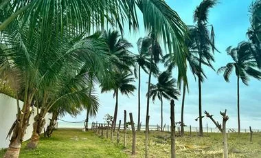 Terreno en venta en Tonsupa — imagen 5