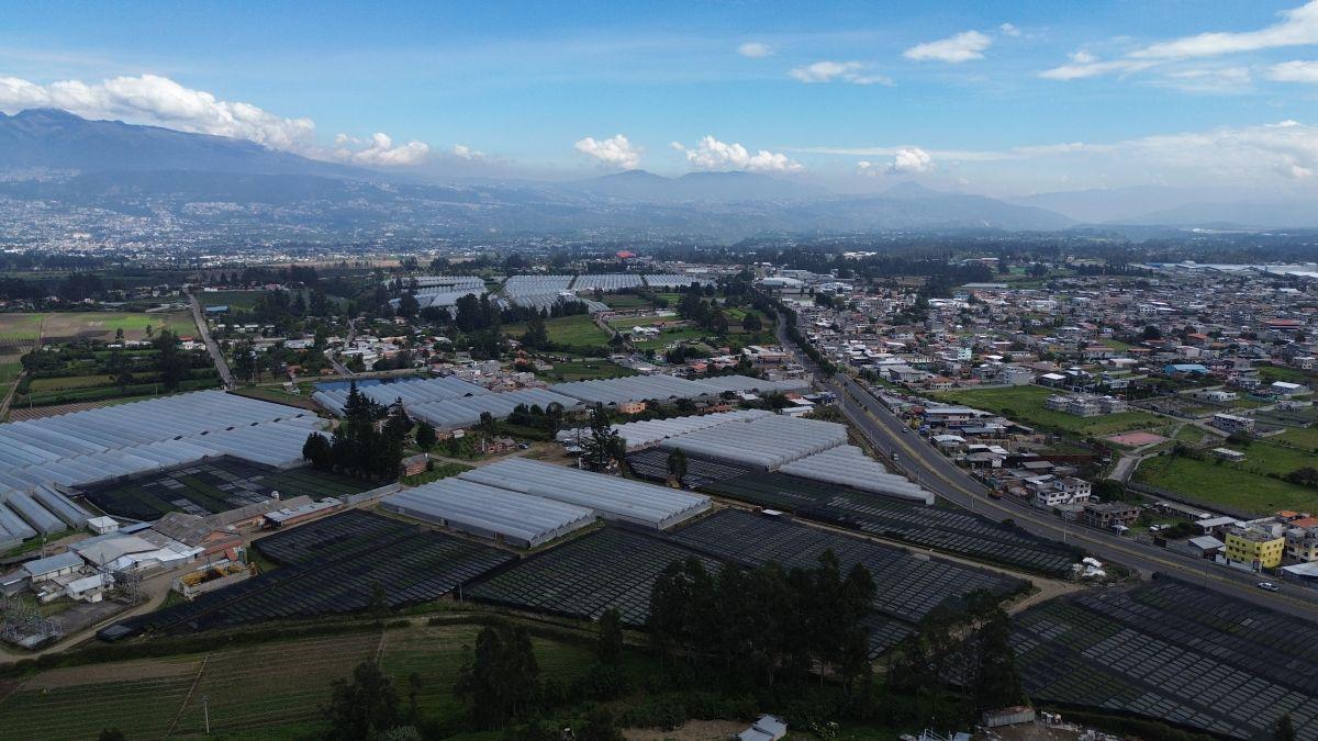 Terreno de 200 m² en Venta - Pifo — imagen 8