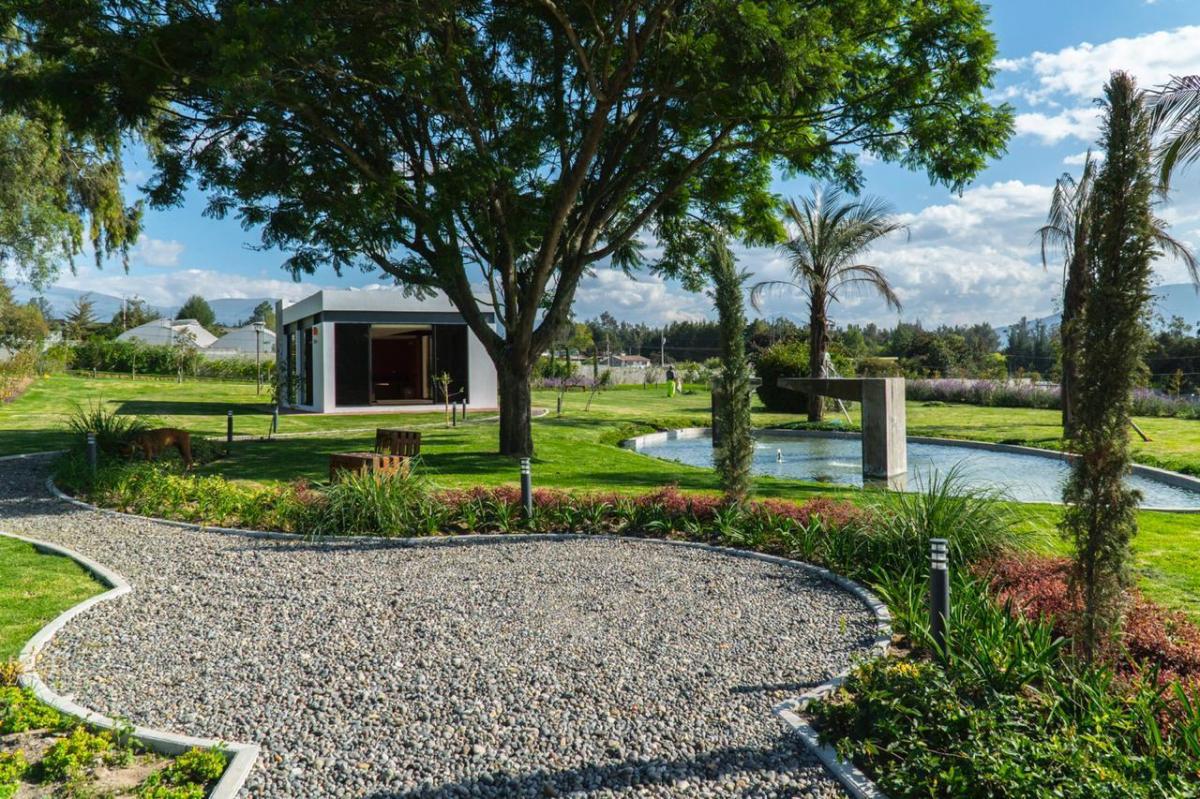 Urbanización Puembo Sector Arrayanes 1.000 m² — imagen 10