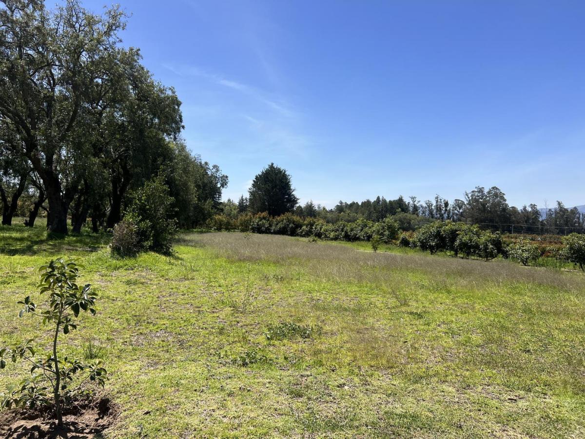 Terreno de Venta en Checa Urbanización de Lujo — imagen 10