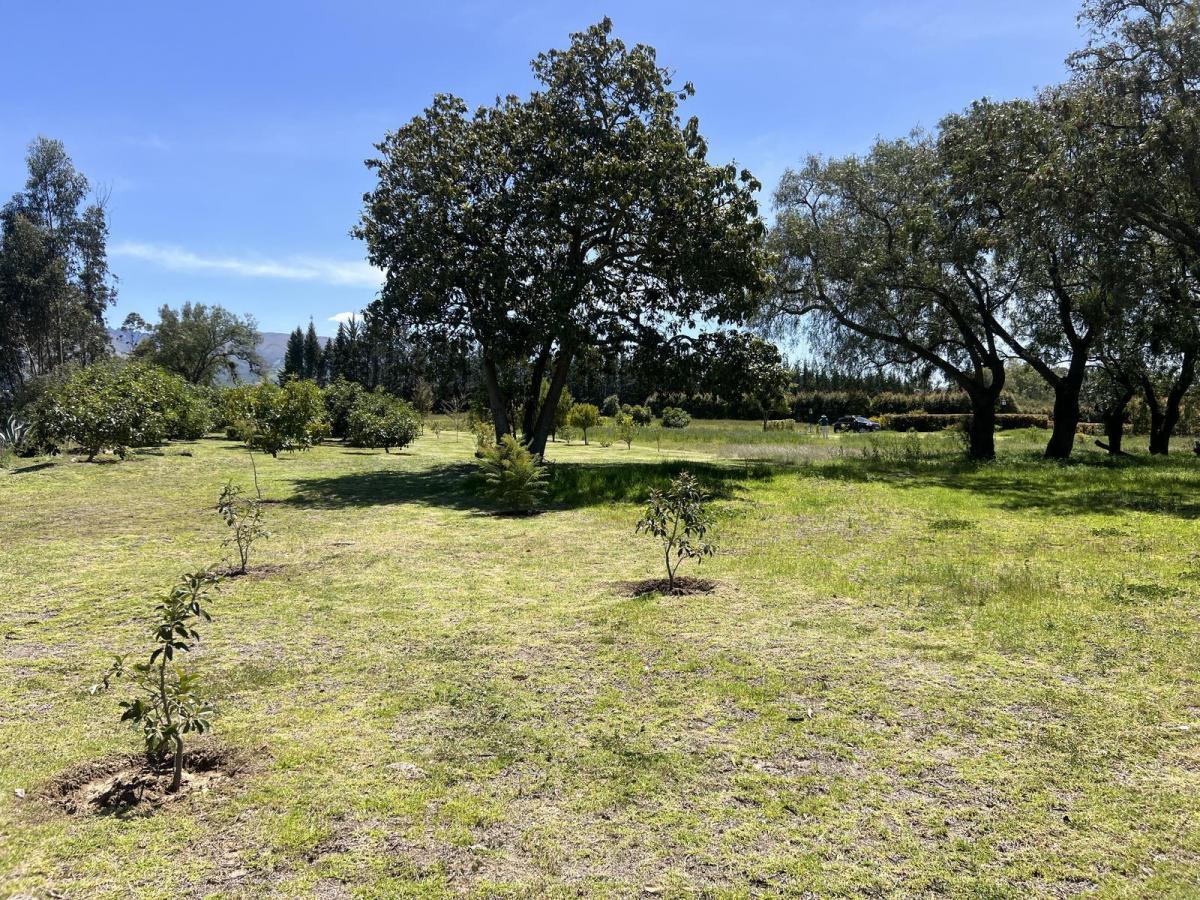 Terreno de Venta en Checa Urbanización de Lujo — imagen 9