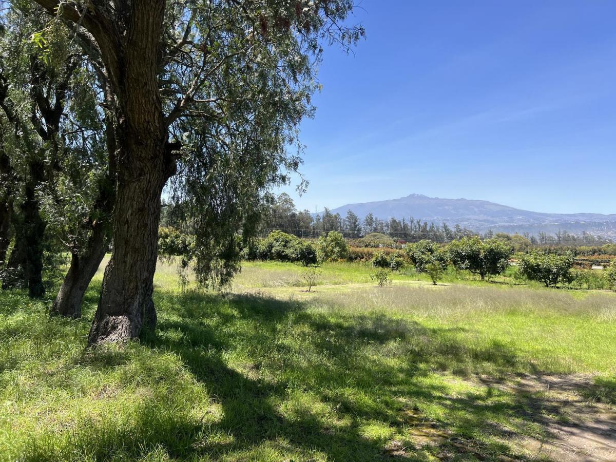 Terreno de Venta en Checa Urbanización de Lujo — imagen 8