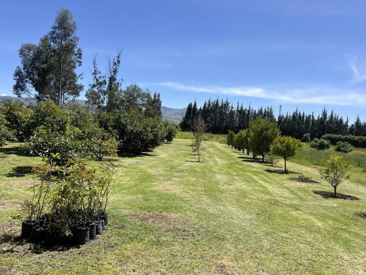 Terreno de Venta en Checa Urbanización de Lujo — imagen 7