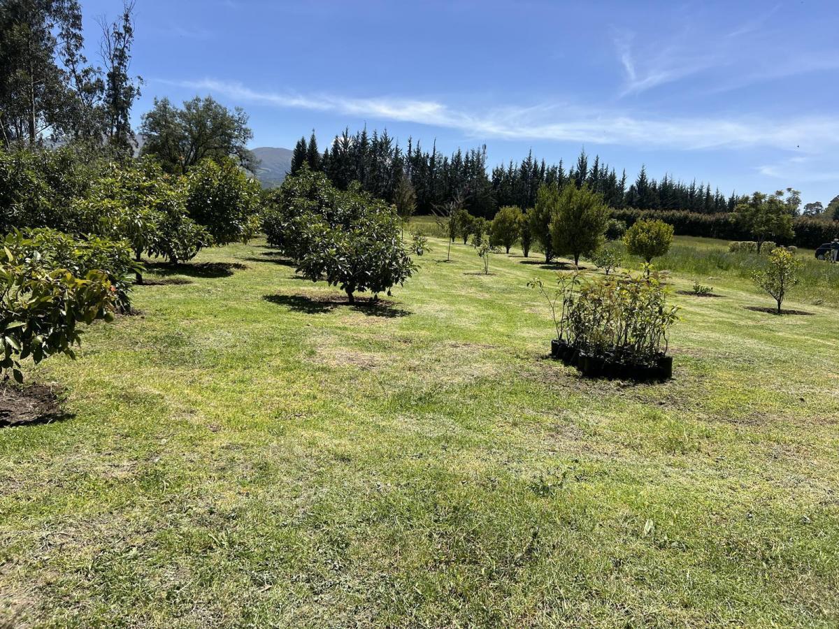 Terreno de Venta en Checa Urbanización de Lujo — imagen 6