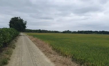 Terreno en venta en Isidro Ayora — imagen 4