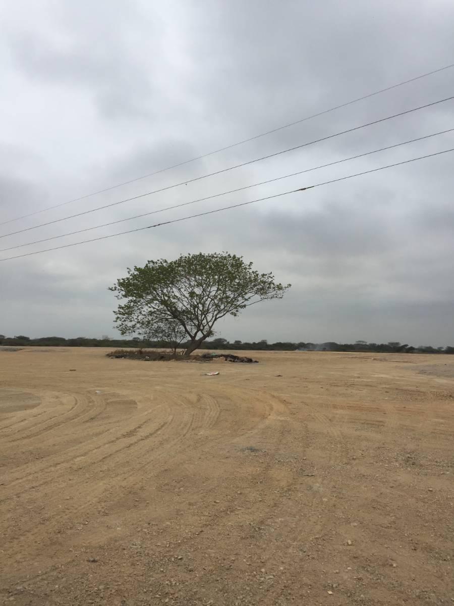 Duran - Tambo Al Pie del Carretero, 80.000 m en El Km 8, Guayas — imagen 3