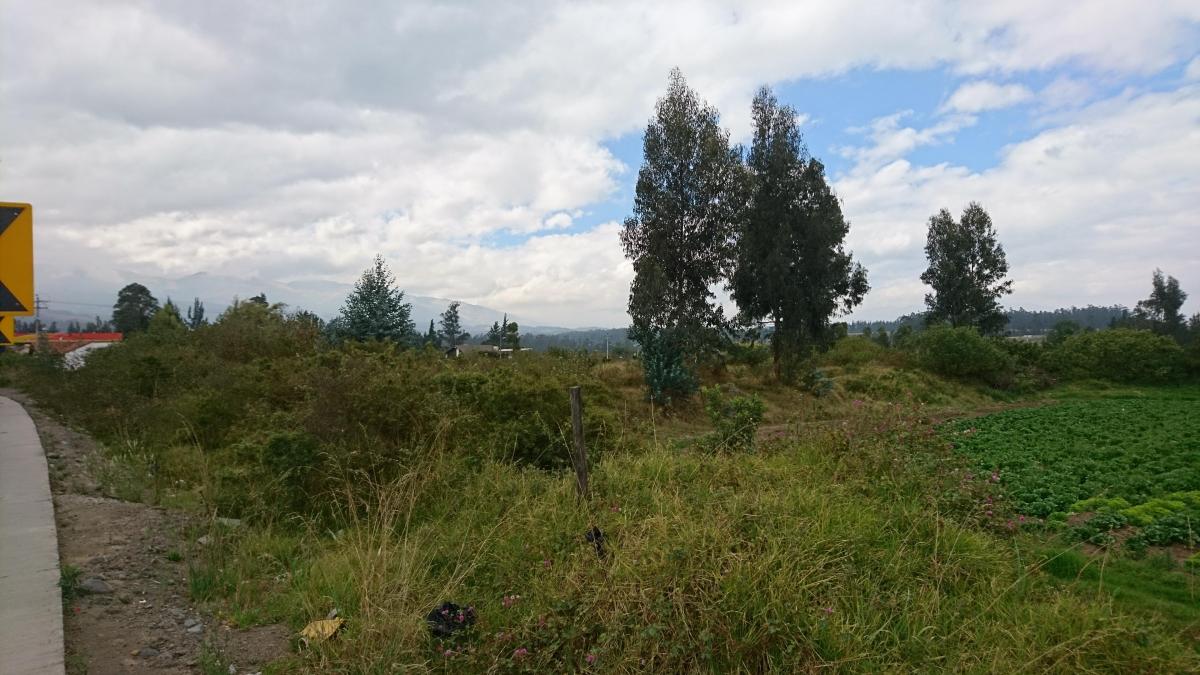 Venta de Espectacular Terreno en Pifo con Frente a La Vía Principal. Provincia de Pichincha — imagen 6