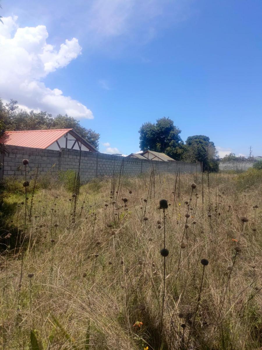 Terreno de Venta en La Mitad del Mundo Apto Para Constructoras — imagen 6