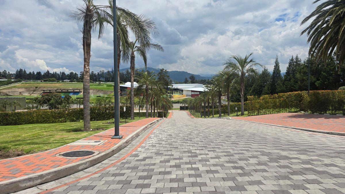 Terreno Exclusivo de Venta en Puembo | 630,11 m² | Urbanización Privada de Alto Nivel — imagen 7