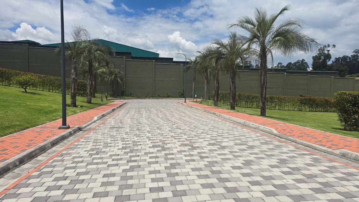 Terreno Exclusivo de Venta en Puembo | 630,11 m² | Urbanización Privada de Alto Nivel — imagen 6