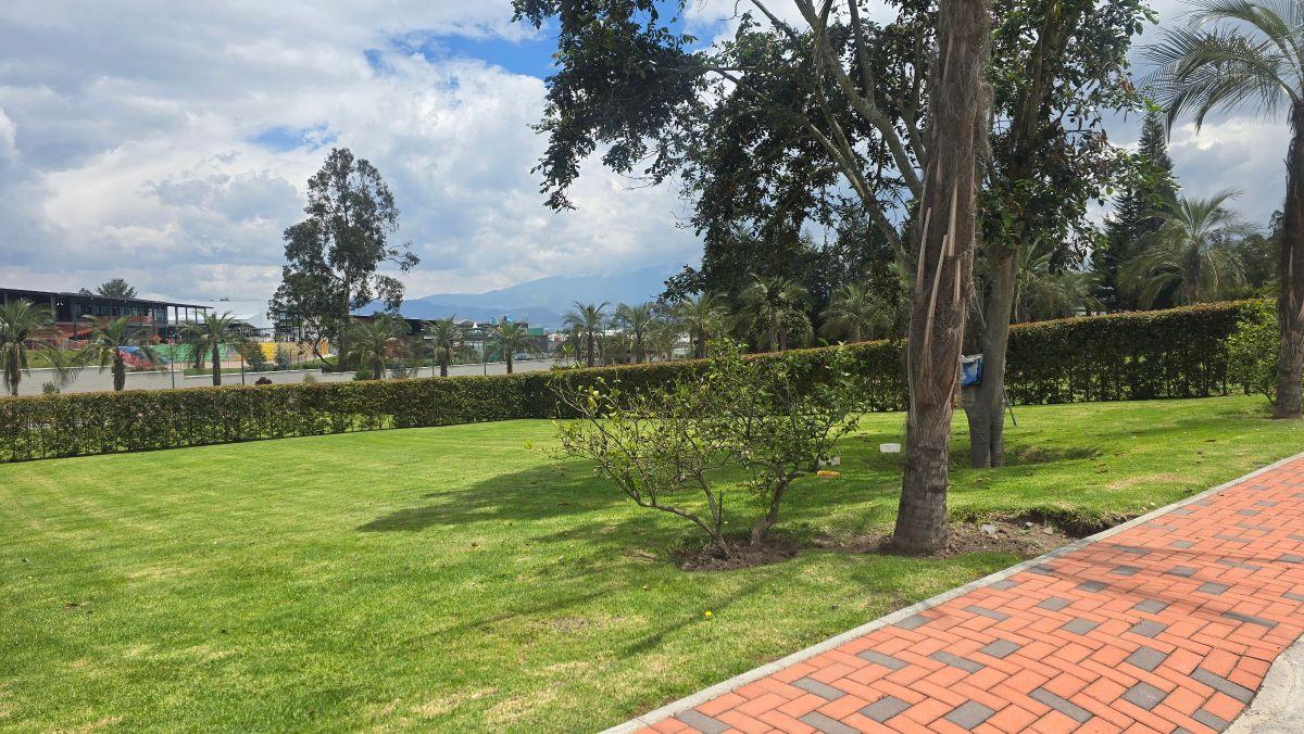 Vendo Precioso Lote Dentro de Urbanización en Puembo — imagen 5