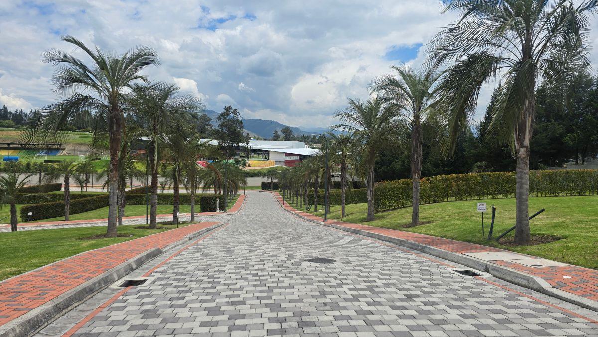 Vendo Precioso Lote Dentro de Urbanización en Puembo — imagen 3