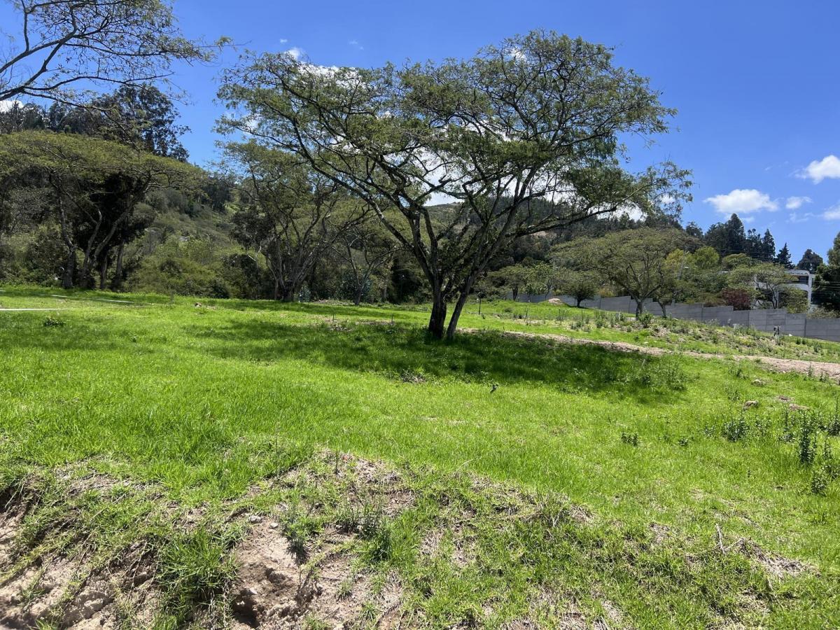 Tumbaco - Via Intervalles Terrenos de Venta en Urbanizacion Privada — imagen 9