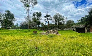 Terreno en venta en La Viña — imagen 5