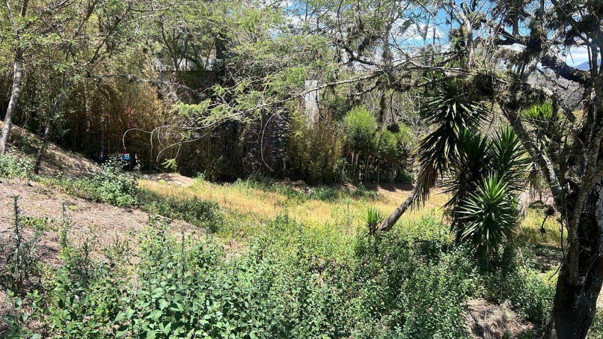 Tumbaco Terreno de Venta Urbanizacion La Viña — imagen 10