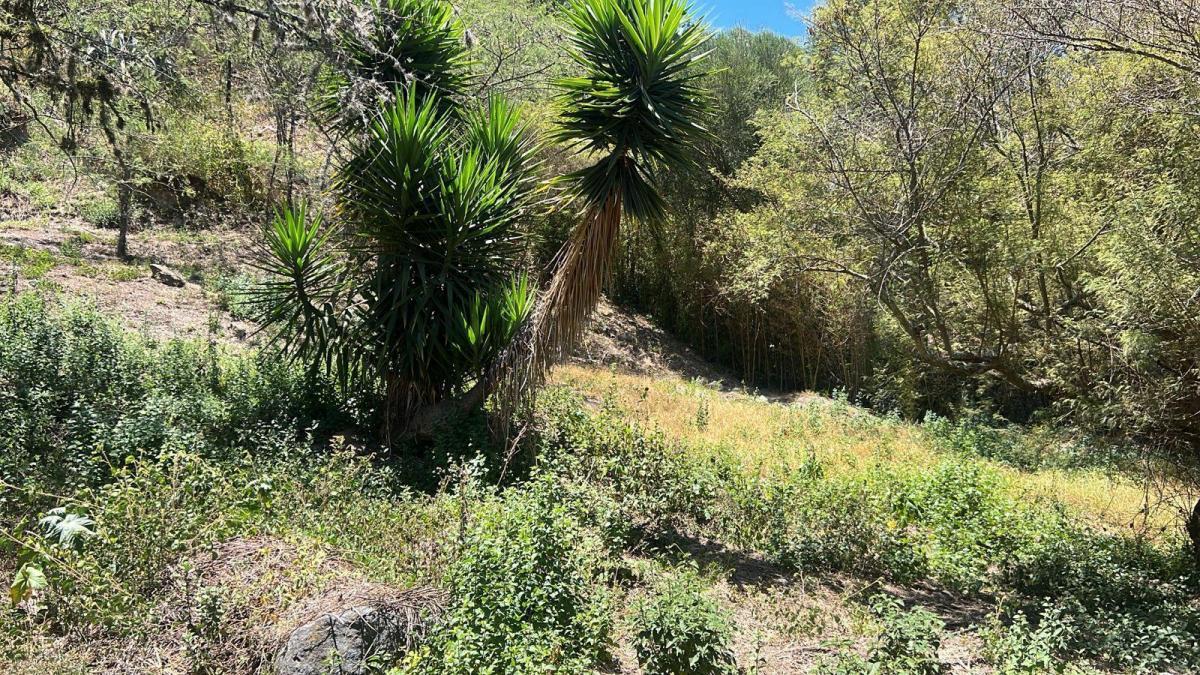 Tumbaco Terreno de Venta Urbanizacion La Viña — imagen 9