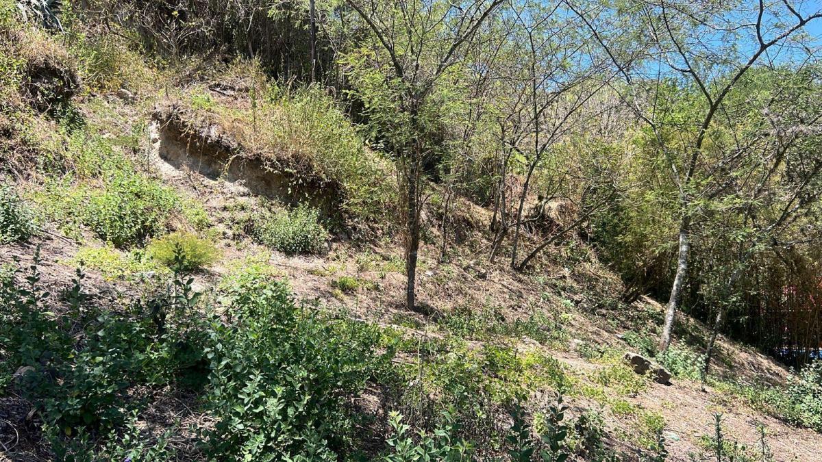 Tumbaco Terreno de Venta Urbanizacion La Viña — imagen 7