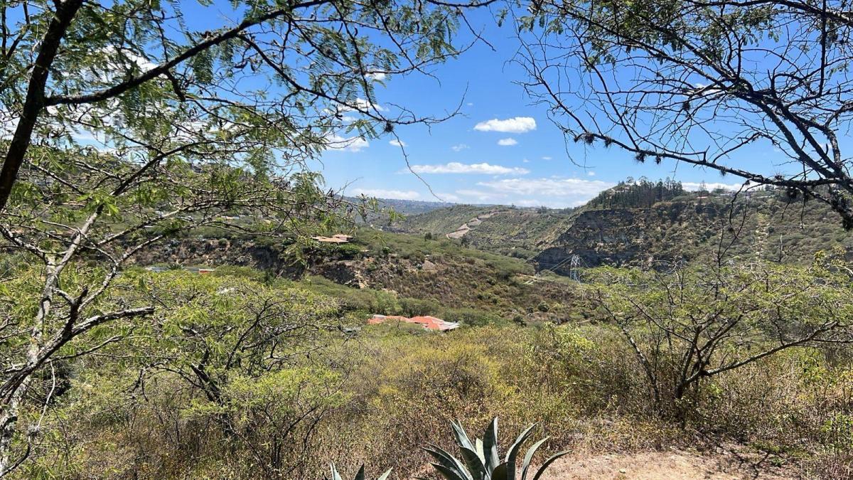 Tumbaco Terreno de Venta Urbanizacion La Viña — imagen 6