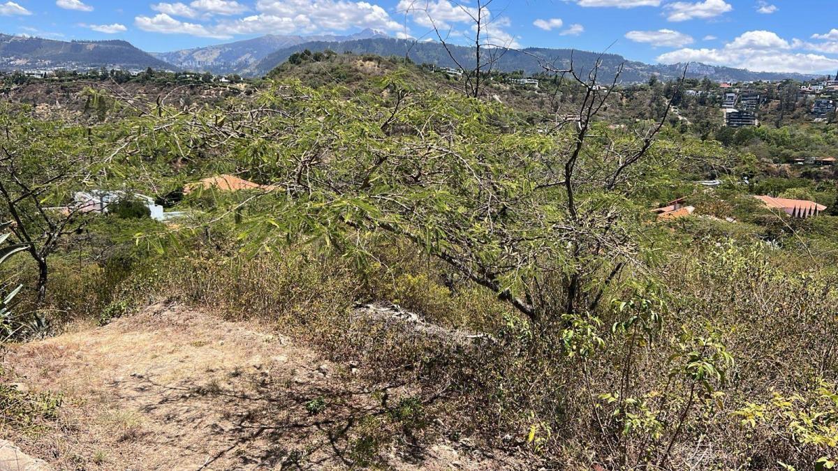 Tumbaco Terreno de Venta Urbanizacion La Viña — imagen 2