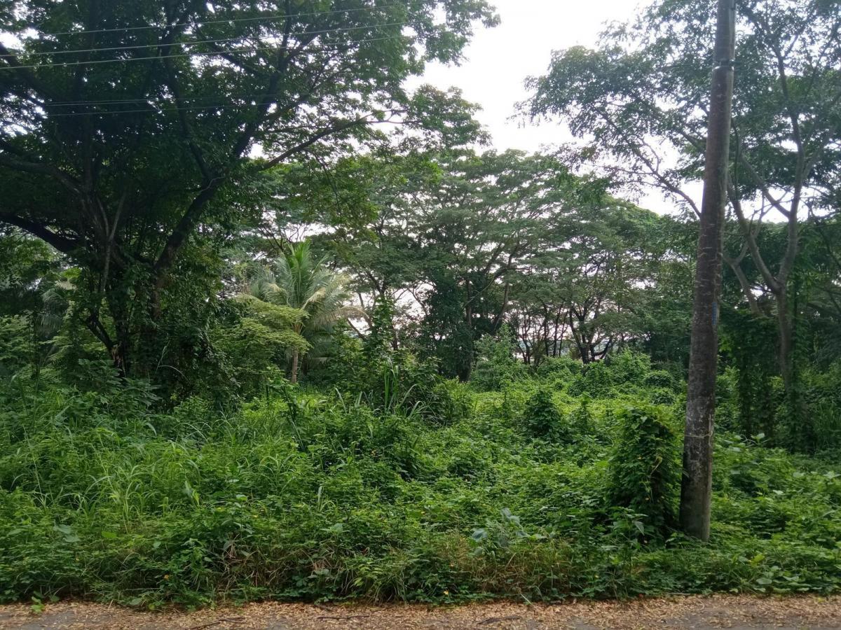 Terreno en Venta Urb. Lago de Capeira Etapa 1 Rauh, Guayas — imagen 7