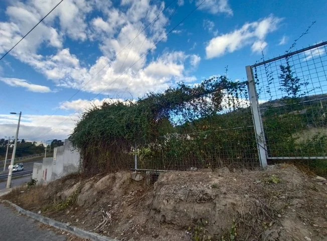 Terreno en venta en Cumbaya — imagen 2