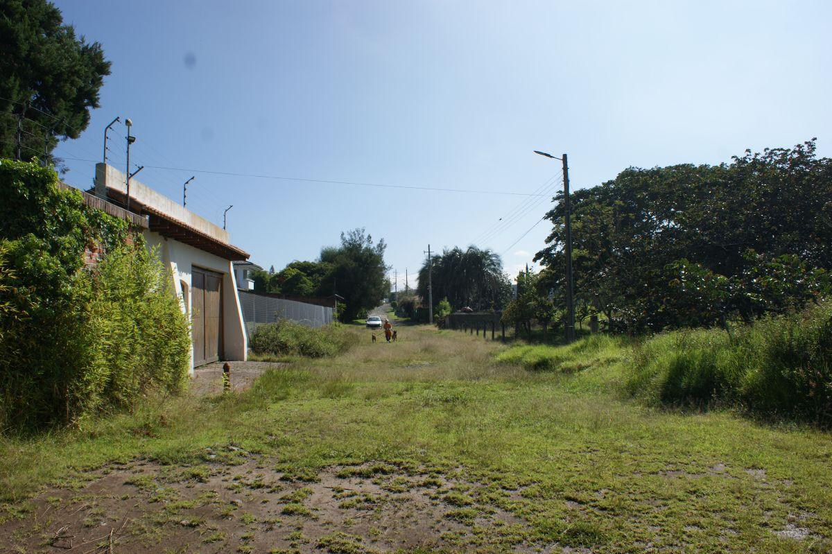 Venta - Terreno - Nayon - Quito - Sector Guayraloma — imagen 10