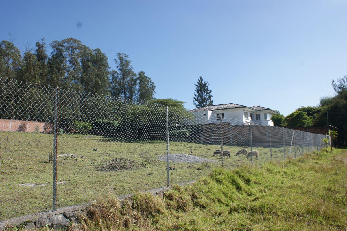 Venta - Terreno - Nayon - Quito - Sector Guayraloma — imagen 9
