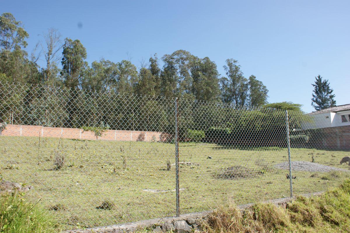 Venta - Terreno - Nayon - Quito - Sector Guayraloma — imagen 8