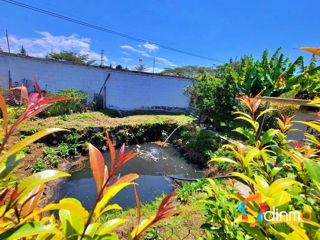 Vendo Terreno en Puembo, Sector Hacienda Nápoles — imagen 2