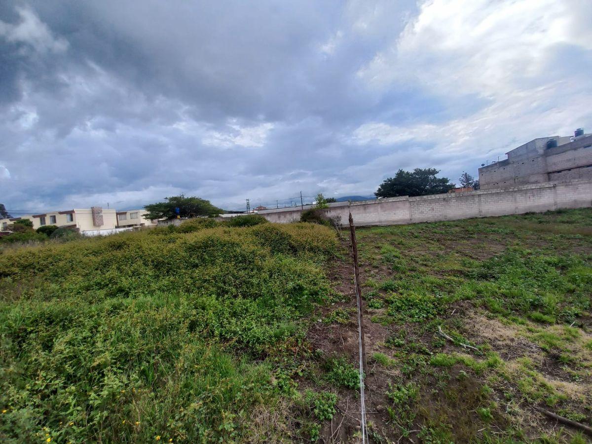 Venta Terreno Sector Pifo Urb Ciudad Jardin de Pifo — imagen 2