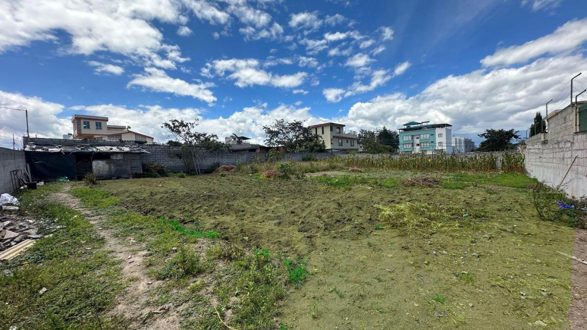 Terreno en Venta Llano Grande — imagen 8