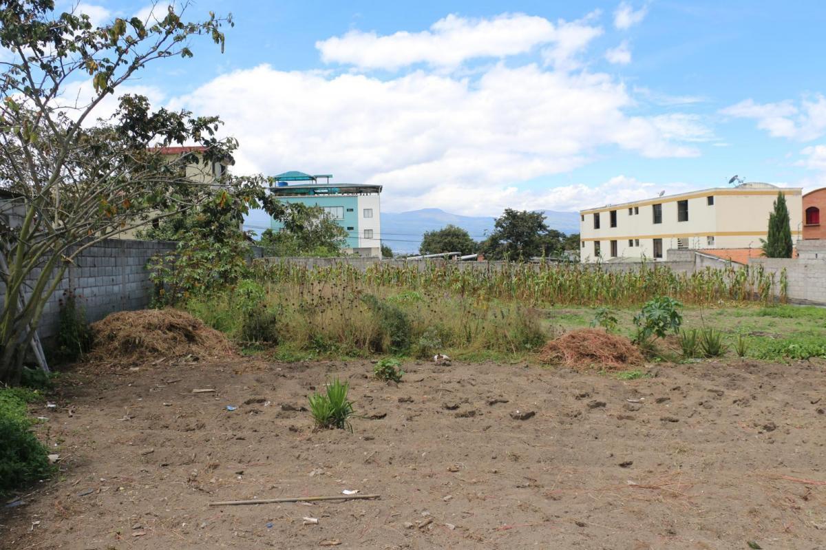 Terreno en Venta Llano Grande — imagen 7