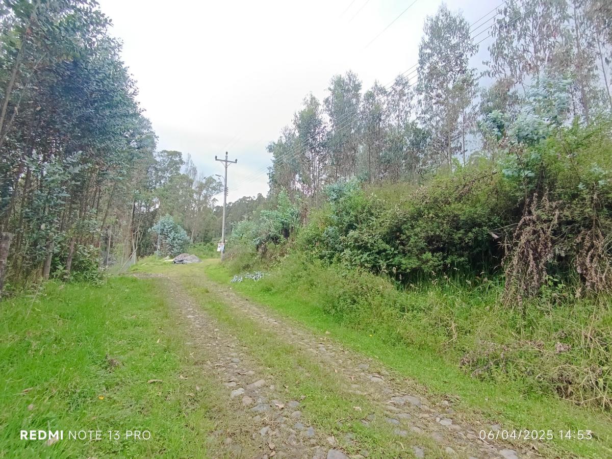 Vendo Terreno en Urbanización, Sector Conocoto — imagen 9