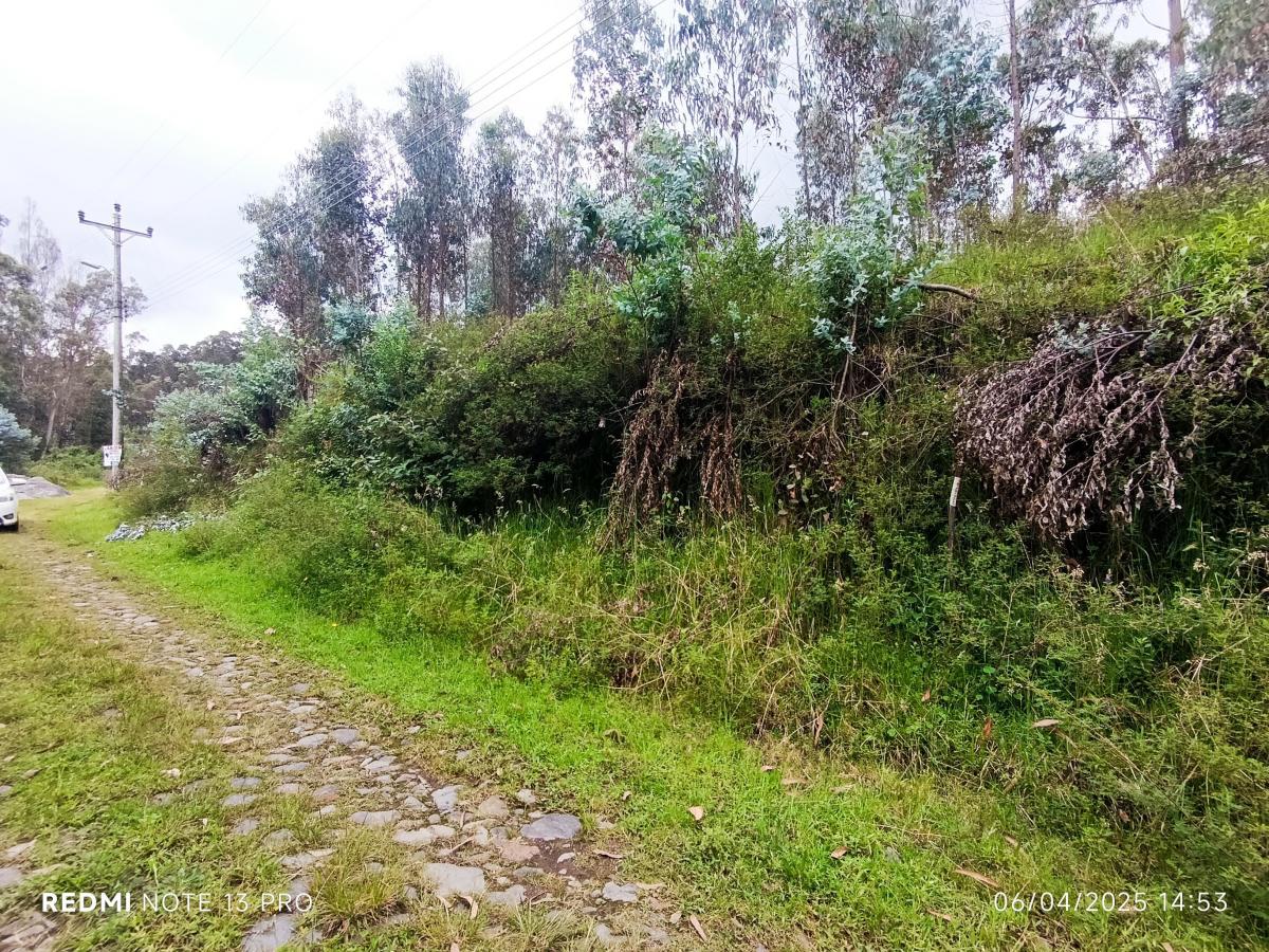 Vendo Terreno en Urbanización, Sector Conocoto — imagen 8