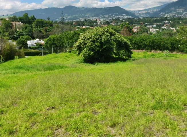 Terreno en venta en Cumbaya — imagen 1