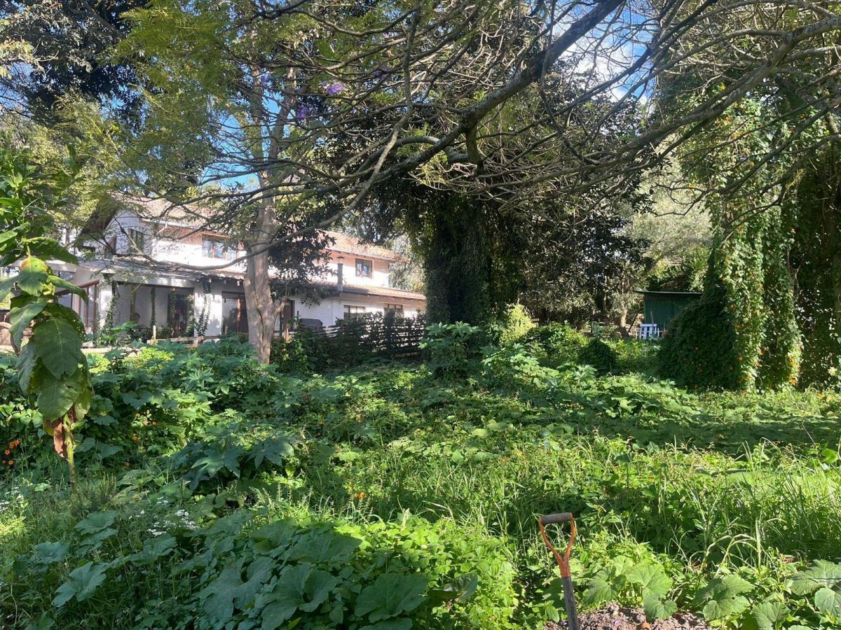 Terreno de Venta 7200 m La Cerámica Tumbaco — imagen 7