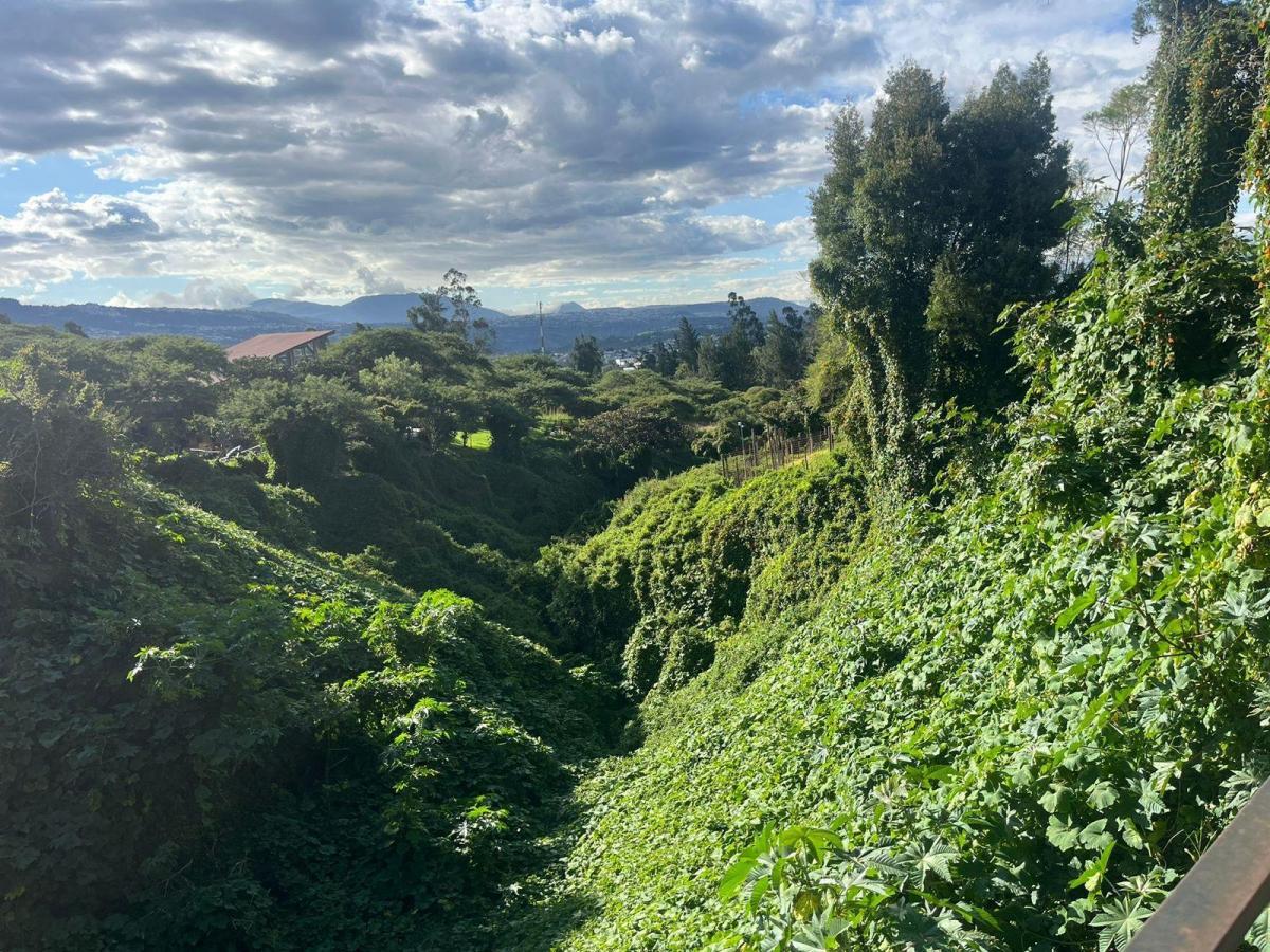 Terreno de Venta 7200 m La Cerámica Tumbaco — imagen 6