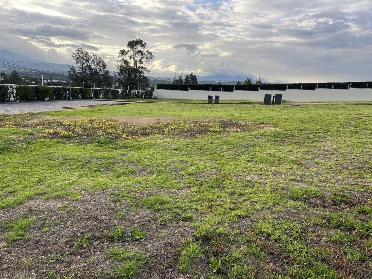 Venta Terreno en Puembo en Urbanización Privada — imagen 2