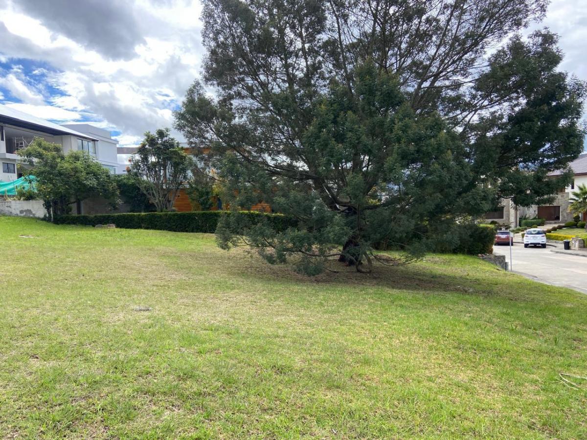 Terreno en Venta, Challuabamba, Urbanización, Azuay — imagen 9