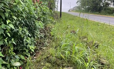 Terreno en venta en Santo Domingo — imagen 4