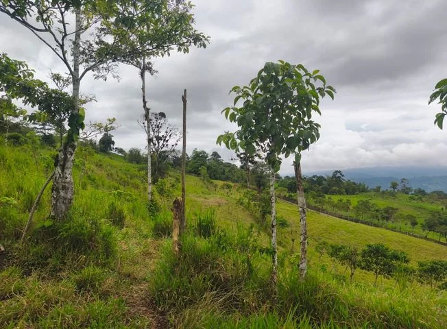 Terreno en venta en Santo Domingo — imagen 3