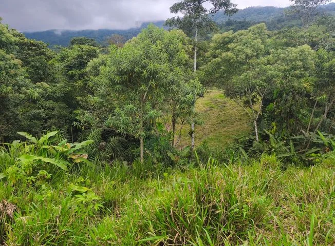 Terreno en venta en Santo Domingo — imagen 2