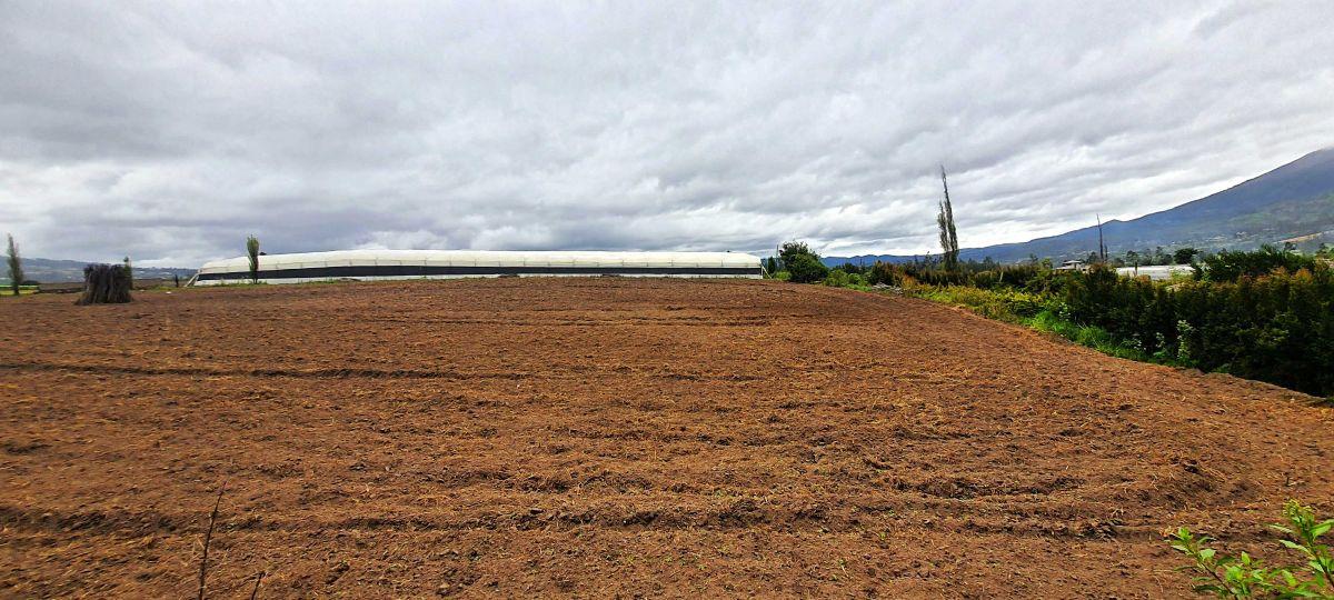 Terreno en Venta en Atuntaqui Lote B1 2160 m² Sector Ontañon, Imbabura — imagen 2
