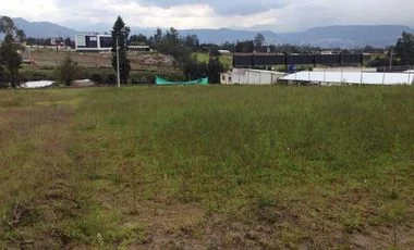 Terreno en venta en Puembo — imagen 5