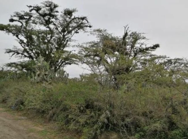 Terreno en venta en Puembo — imagen 3